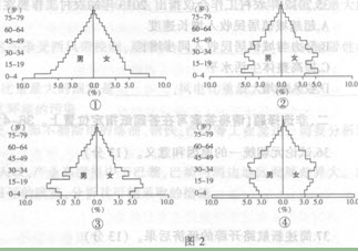 中国人口结构金字塔_Excel中人口结构金字塔图表制作 二(3)